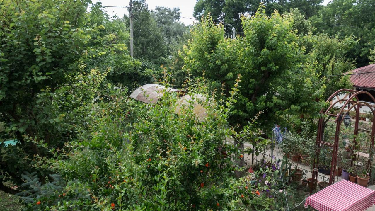 Casa din Gradina Villa Eforie Sud  Bagian luar foto